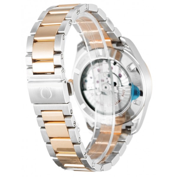 Replica Watch Omega Aqua Terra 150m Gents 231.20.42.22.06.001