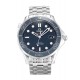 Replica Watch Omega Seamaster 300m Co-Axial 212.30.41.20.03.001